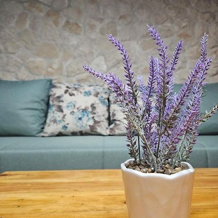 Dalmatia Rustica Comfortable One Bedroom+Fireplace Zadar Bagian luar foto