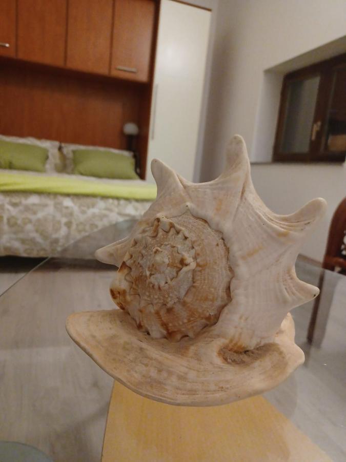 Dalmatia Rustica Comfortable One Bedroom+Fireplace Zadar Bagian luar foto